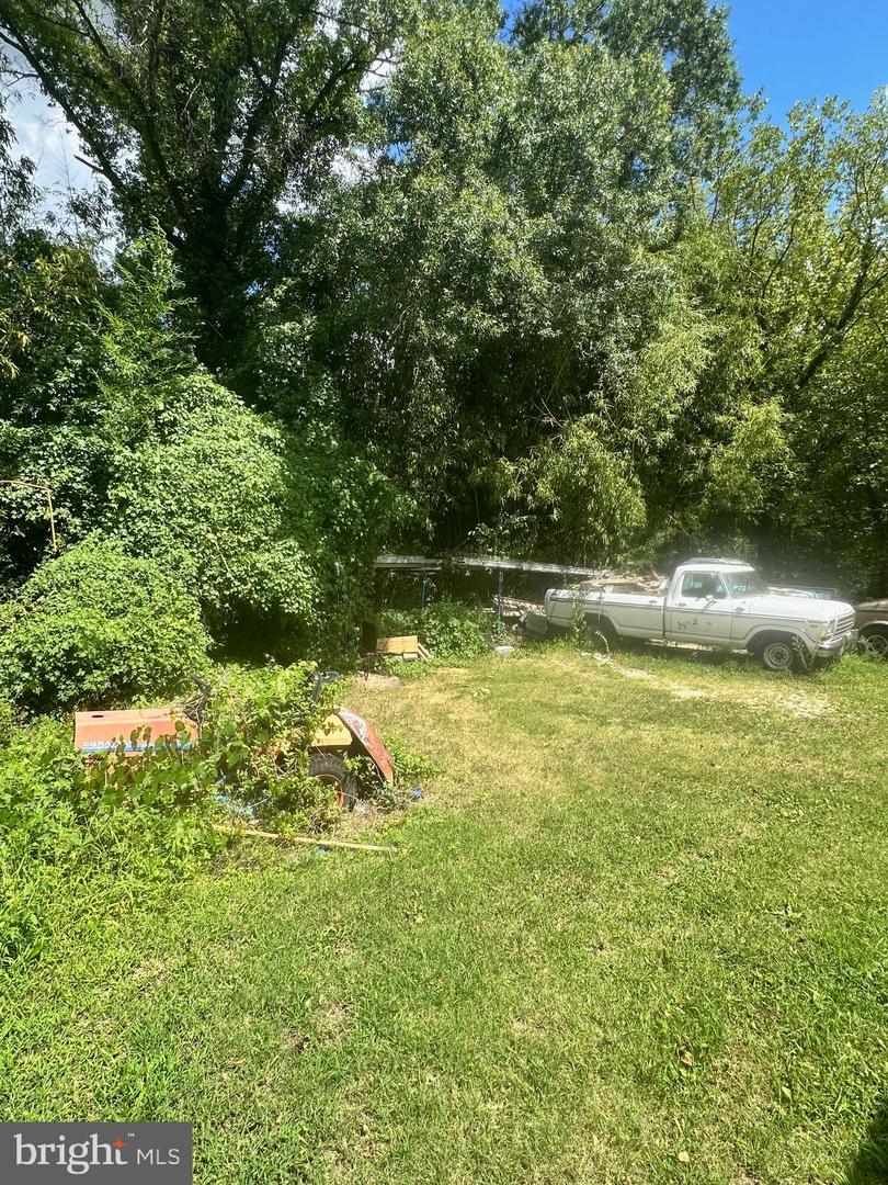 1700 COLLINGWOOD RD, ALEXANDRIA, Virginia 22308, 3 Bedrooms Bedrooms, ,2 BathroomsBathrooms,Residential,For sale,1700 COLLINGWOOD RD,VAFX2265506 MLS # VAFX2265506