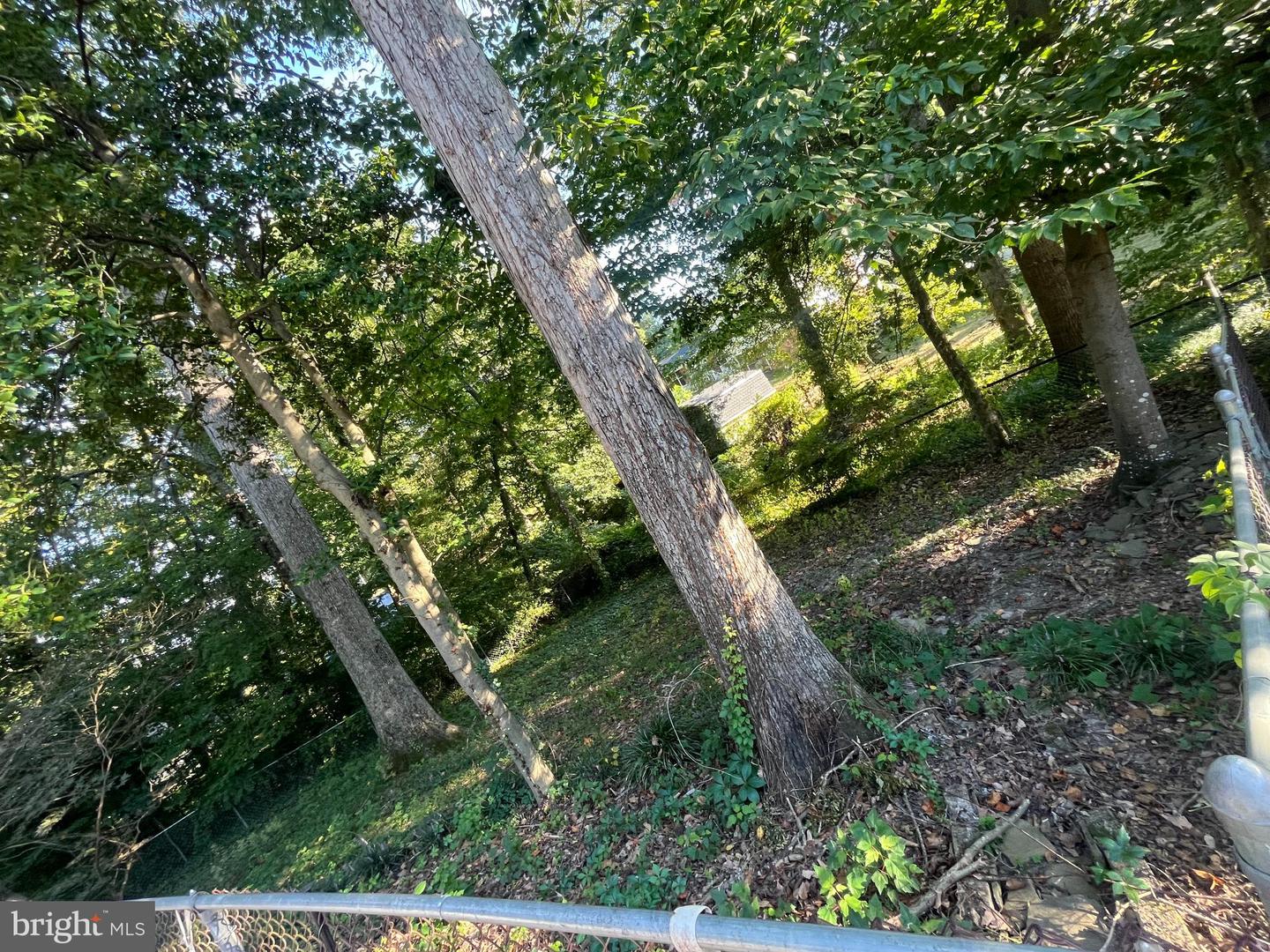 3203 RIVERVIEW DR, TRIANGLE, Virginia 22172, 5 Bedrooms Bedrooms, ,3 BathroomsBathrooms,Residential,For sale,3203 RIVERVIEW DR,VAPW2103598 MLS # VAPW2103598 3203 RIVERVIEW DR, TRIANGLE, Virginia 22172, 5 Bedrooms Bedrooms, ,3 BathroomsBathrooms,Residential,For sale,3203 RIVERVIEW DR,VAPW2103598 MLS # VAPW2103598