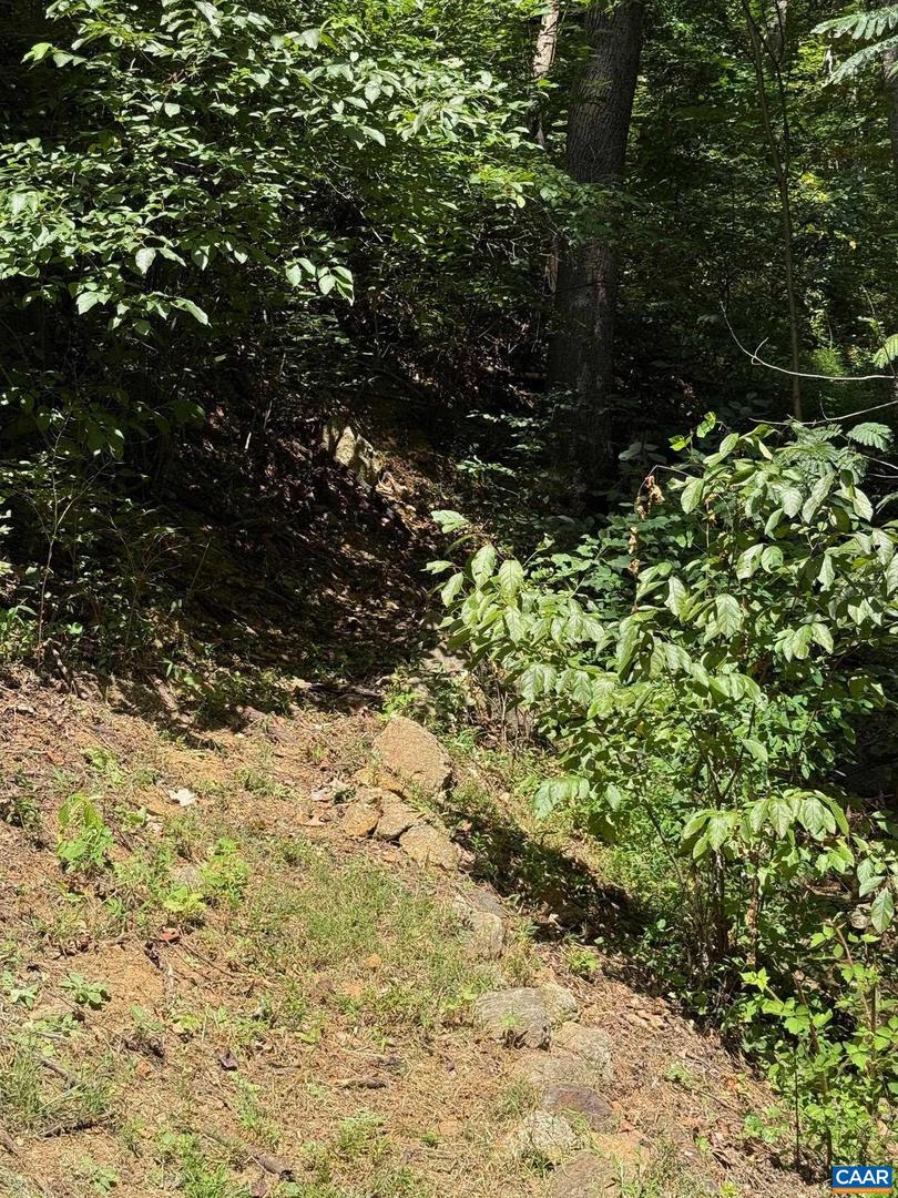 2960 BEECH GROVE RD, ROSELAND, Virginia 22967, 2 Bedrooms Bedrooms, ,1 BathroomBathrooms,Residential,For sale,2960 BEECH GROVE RD,668747 MLS # 668747
