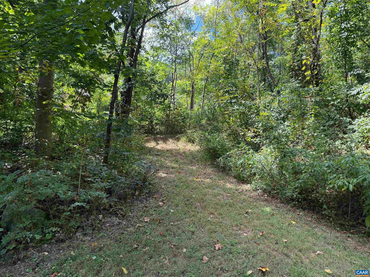 2960 BEECH GROVE RD, ROSELAND, Virginia 22967, 2 Bedrooms Bedrooms, ,1 BathroomBathrooms,Residential,For sale,2960 BEECH GROVE RD,668747 MLS # 668747