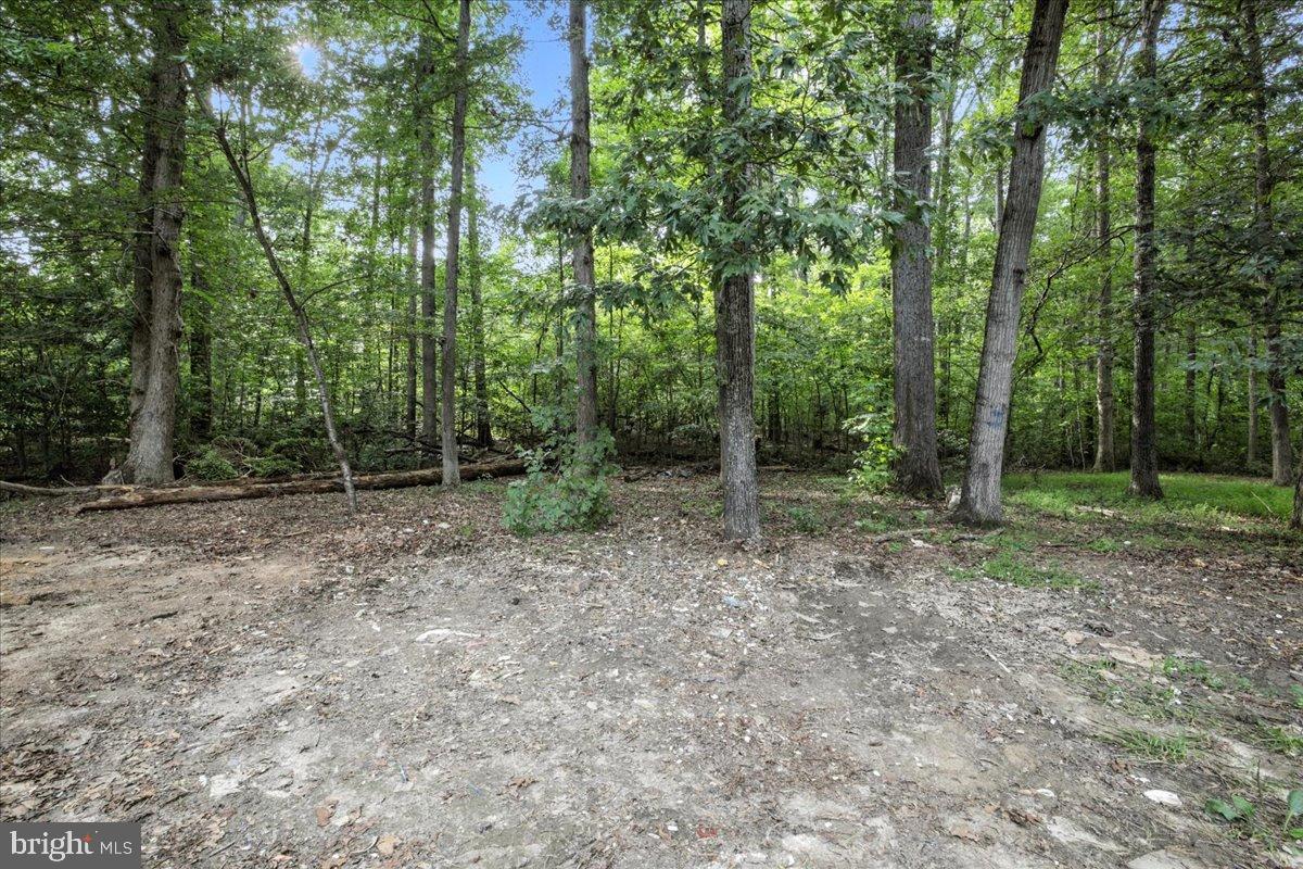 7102 TANGLEWOOD RD, SPOTSYLVANIA, Virginia 22551, 3 Bedrooms Bedrooms, 4 Rooms Rooms,1 BathroomBathrooms,Residential,For sale,7102 TANGLEWOOD RD,VASP2036138 MLS # VASP2036138