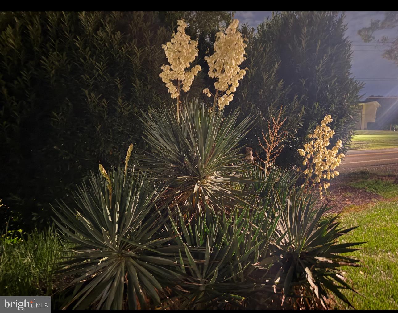 2714 HUNTER MILL RD, OAKTON, Virginia 22124, 4 Bedrooms Bedrooms, 16 Rooms Rooms,3 BathroomsBathrooms,Residential,For sale,2714 HUNTER MILL RD,VAFX2265080 MLS # VAFX2265080