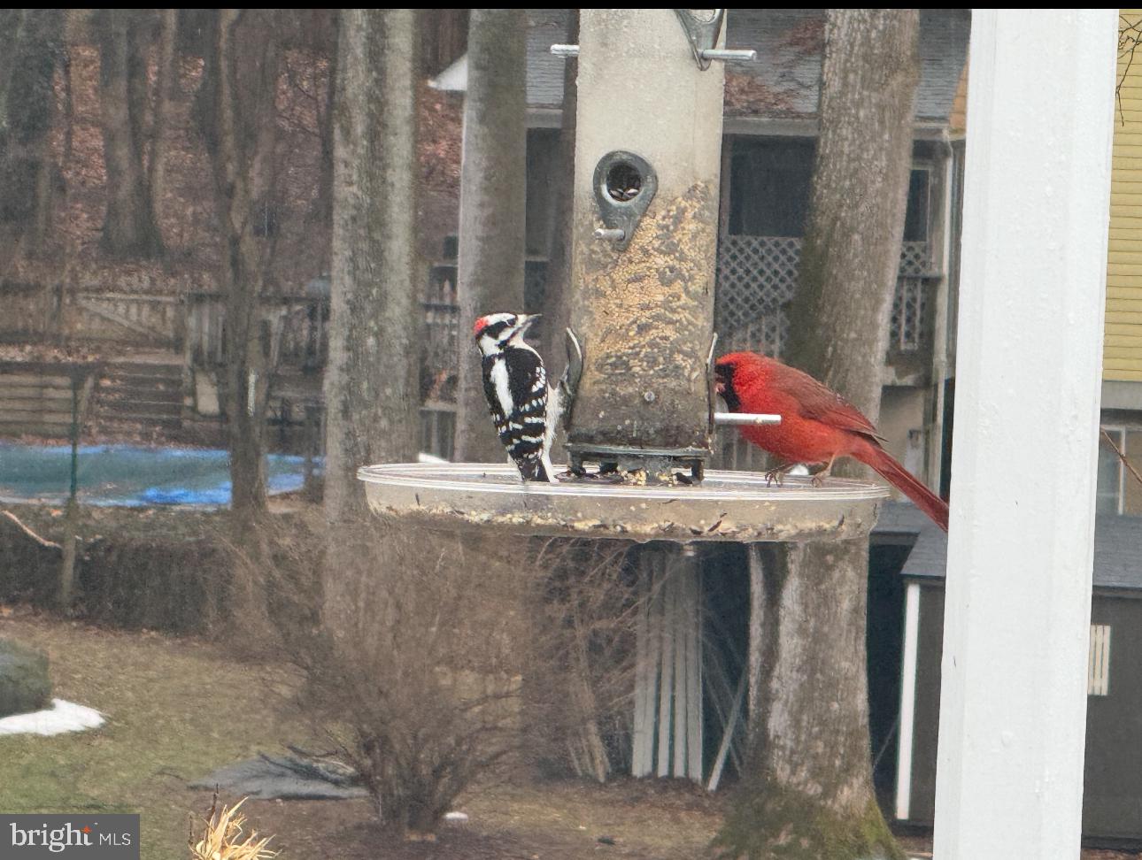 2714 HUNTER MILL RD, OAKTON, Virginia 22124, 4 Bedrooms Bedrooms, 16 Rooms Rooms,3 BathroomsBathrooms,Residential,For sale,2714 HUNTER MILL RD,VAFX2265080 MLS # VAFX2265080