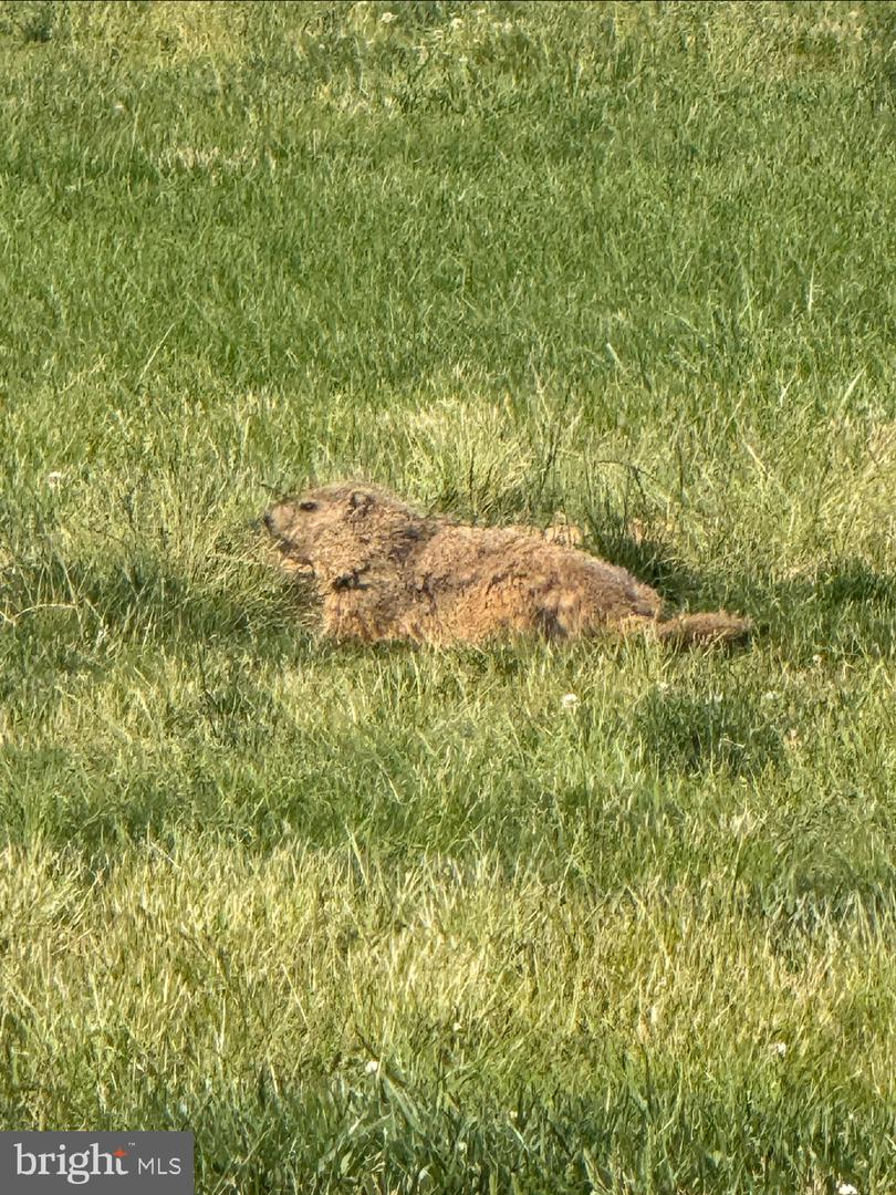 2714 HUNTER MILL RD, OAKTON, Virginia 22124, 4 Bedrooms Bedrooms, 16 Rooms Rooms,3 BathroomsBathrooms,Residential,For sale,2714 HUNTER MILL RD,VAFX2265080 MLS # VAFX2265080