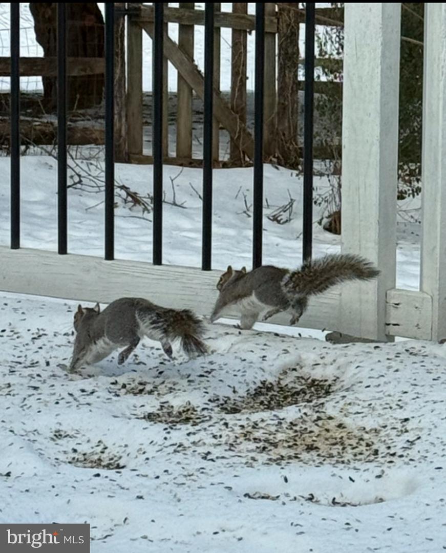 2714 HUNTER MILL RD, OAKTON, Virginia 22124, 4 Bedrooms Bedrooms, 16 Rooms Rooms,3 BathroomsBathrooms,Residential,For sale,2714 HUNTER MILL RD,VAFX2265080 MLS # VAFX2265080