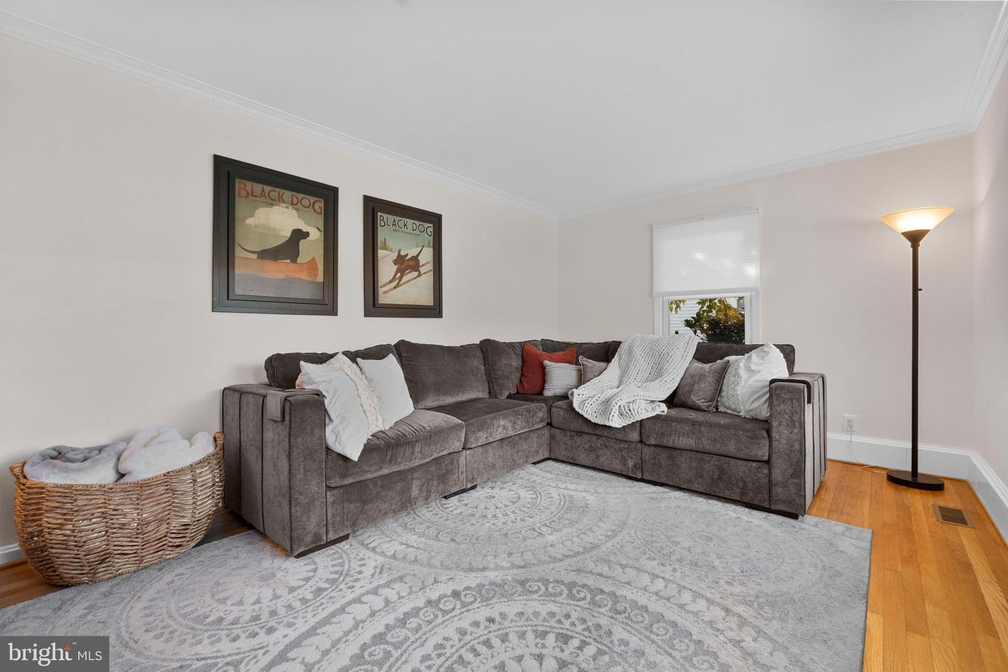 2119 WESTMORELAND ST, FALLS CHURCH, Virginia 22043, 3 Bedrooms Bedrooms, ,3 BathroomsBathrooms,Residential,For sale,2119 WESTMORELAND ST,VAFX2265246 MLS # VAFX2265246