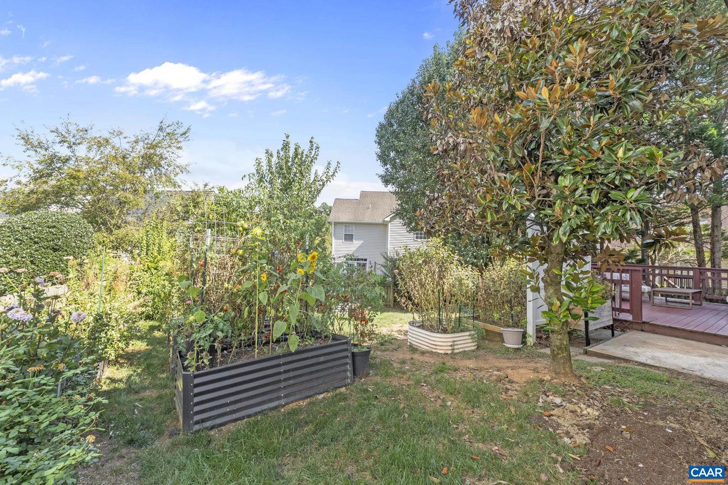 927 CANVAS BACK DR, CHARLOTTESVILLE, Virginia 22903, 4 Bedrooms Bedrooms, ,2 BathroomsBathrooms,Residential,For sale,927 CANVAS BACK DR,668699 MLS # 668699