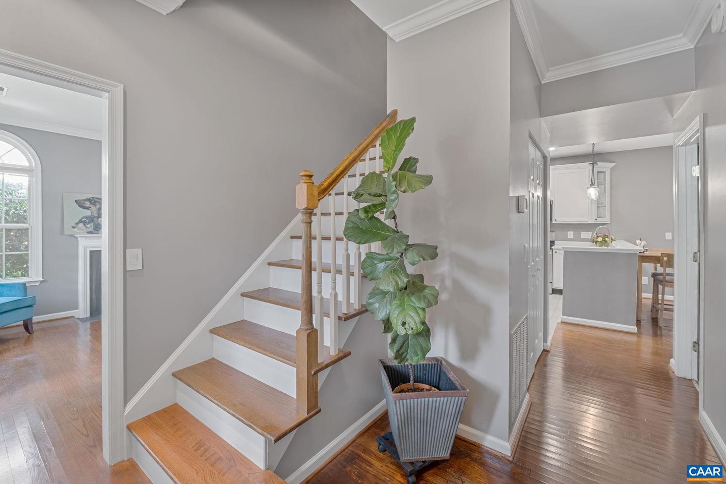 927 CANVAS BACK DR, CHARLOTTESVILLE, Virginia 22903, 4 Bedrooms Bedrooms, ,2 BathroomsBathrooms,Residential,For sale,927 CANVAS BACK DR,668699 MLS # 668699