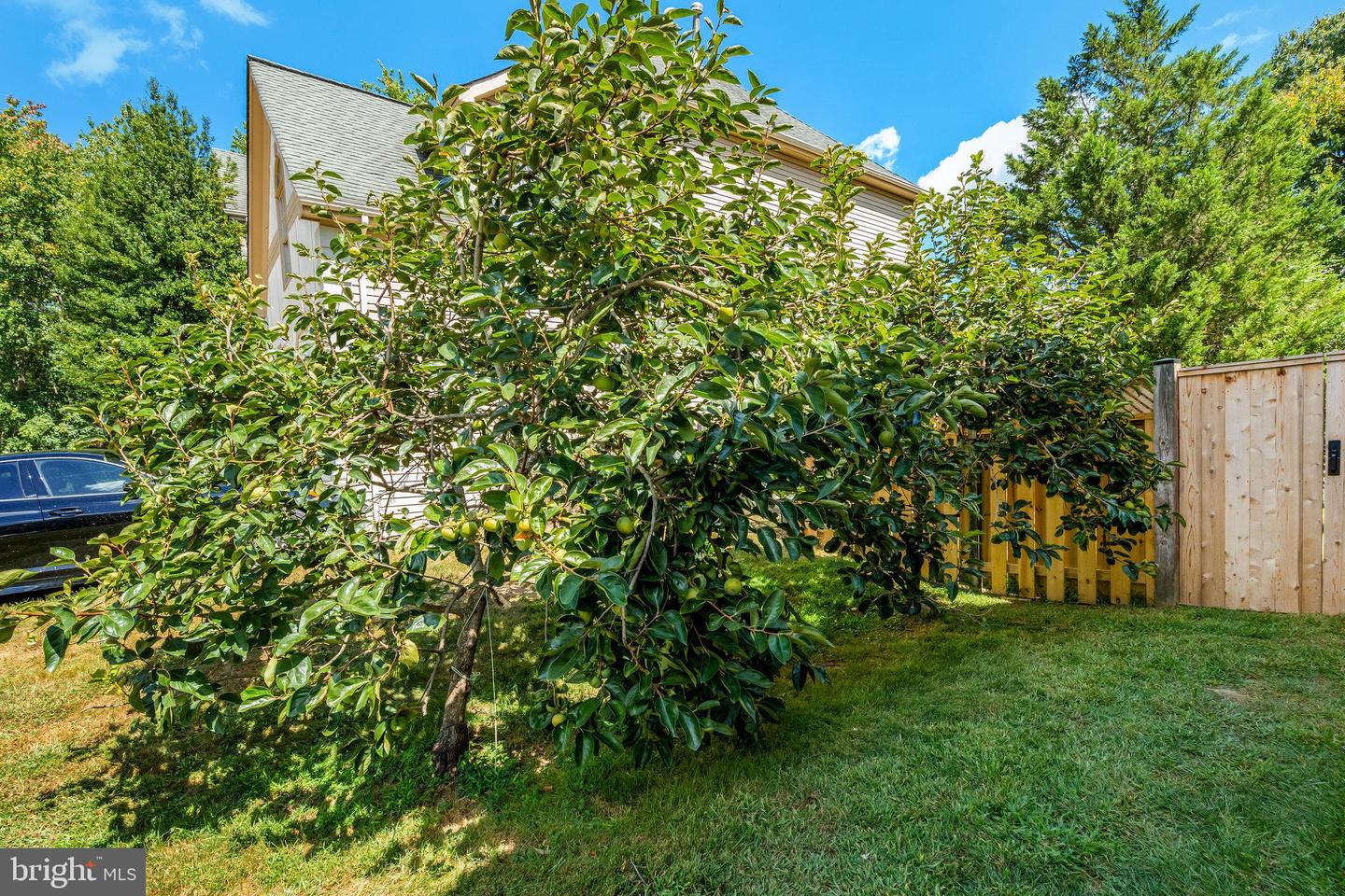 5403 WILLOW FOREST CT, CLIFTON, Virginia 20124, 4 Bedrooms Bedrooms, ,3 BathroomsBathrooms,Residential,For sale,5403 WILLOW FOREST CT,VAFX2265314 MLS # VAFX2265314