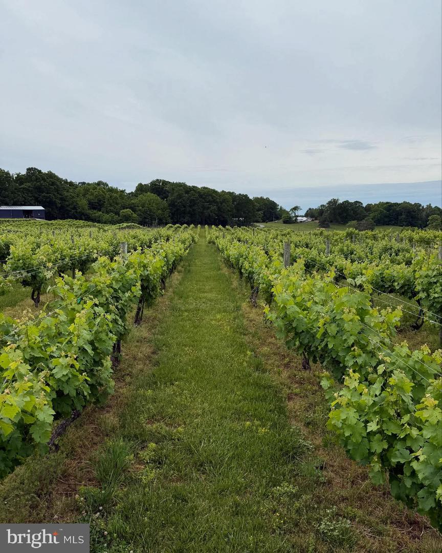 3061 HENDRICKS STORE RD, MONETA, Virginia 24121, 3 Bedrooms Bedrooms, ,4 BathroomsBathrooms,Residential,For sale,3061 HENDRICKS STORE RD,VABV2000246 MLS # VABV2000246 3061 HENDRICKS STORE RD, MONETA, Virginia 24121, 3 Bedrooms Bedrooms, ,4 BathroomsBathrooms,Residential,For sale,3061 HENDRICKS STORE RD,VABV2000246 MLS # VABV2000246