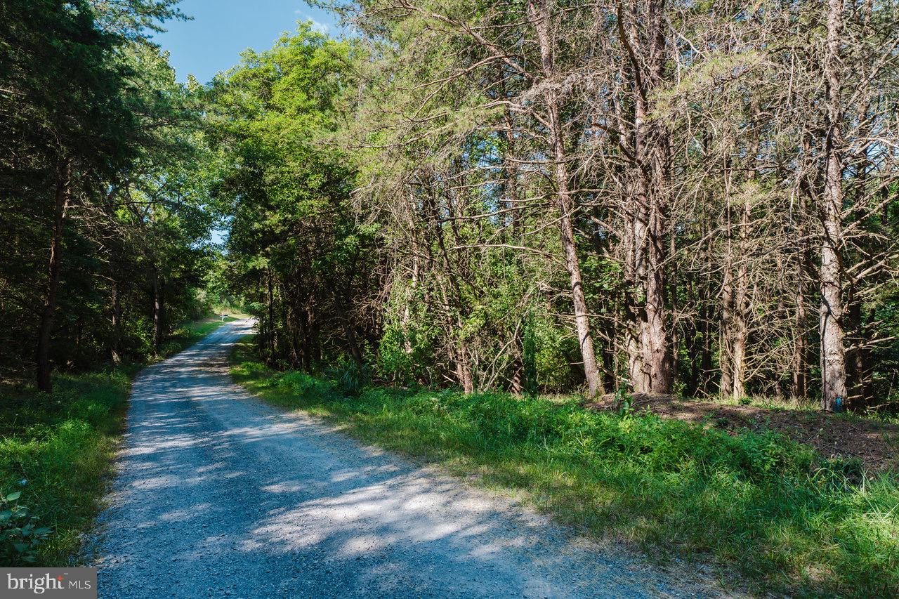 TBD RIVERVIEW ROAD, LURAY, Virginia 22835, ,Land,For sale,TBD RIVERVIEW ROAD,VAPA2005344 MLS # VAPA2005344