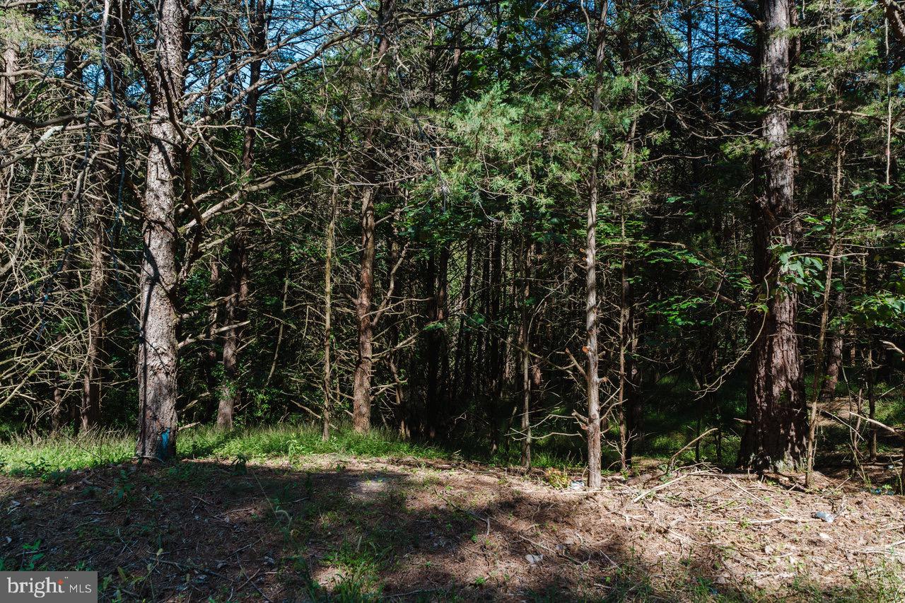 TBD RIVERVIEW ROAD, LURAY, Virginia 22835, ,Land,For sale,TBD RIVERVIEW ROAD,VAPA2005344 MLS # VAPA2005344