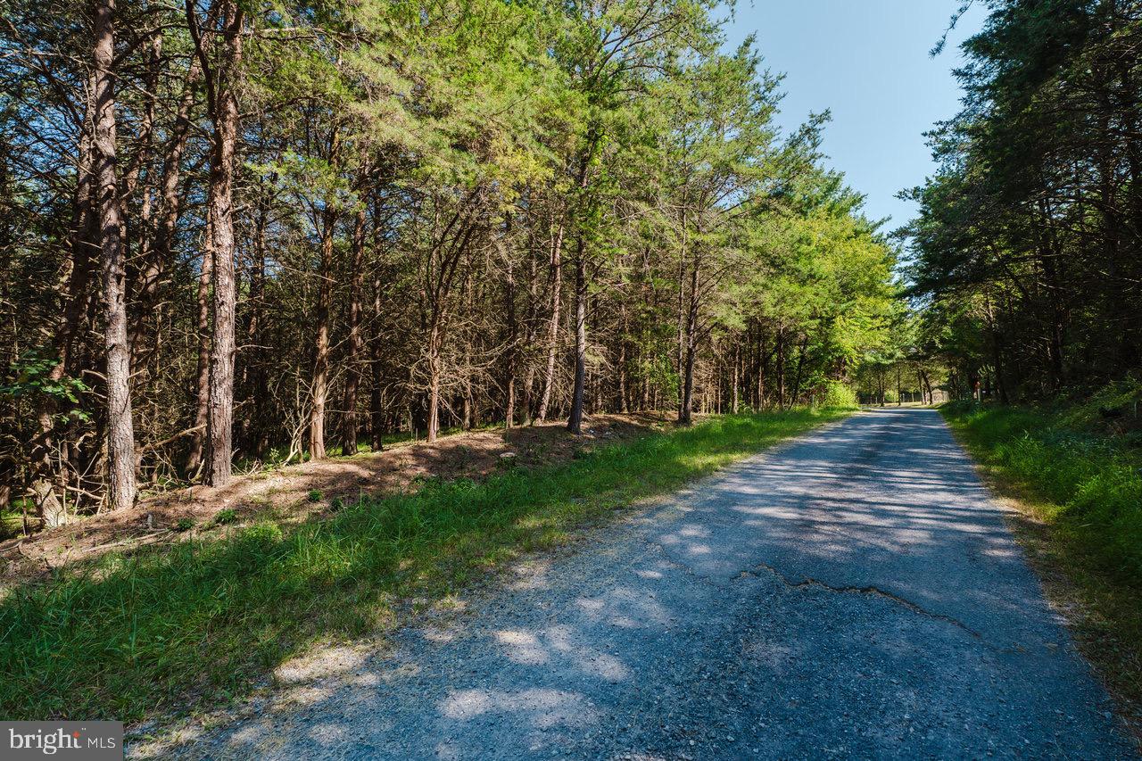 TBD RIVERVIEW ROAD, LURAY, Virginia 22835, ,Land,For sale,TBD RIVERVIEW ROAD,VAPA2005344 MLS # VAPA2005344