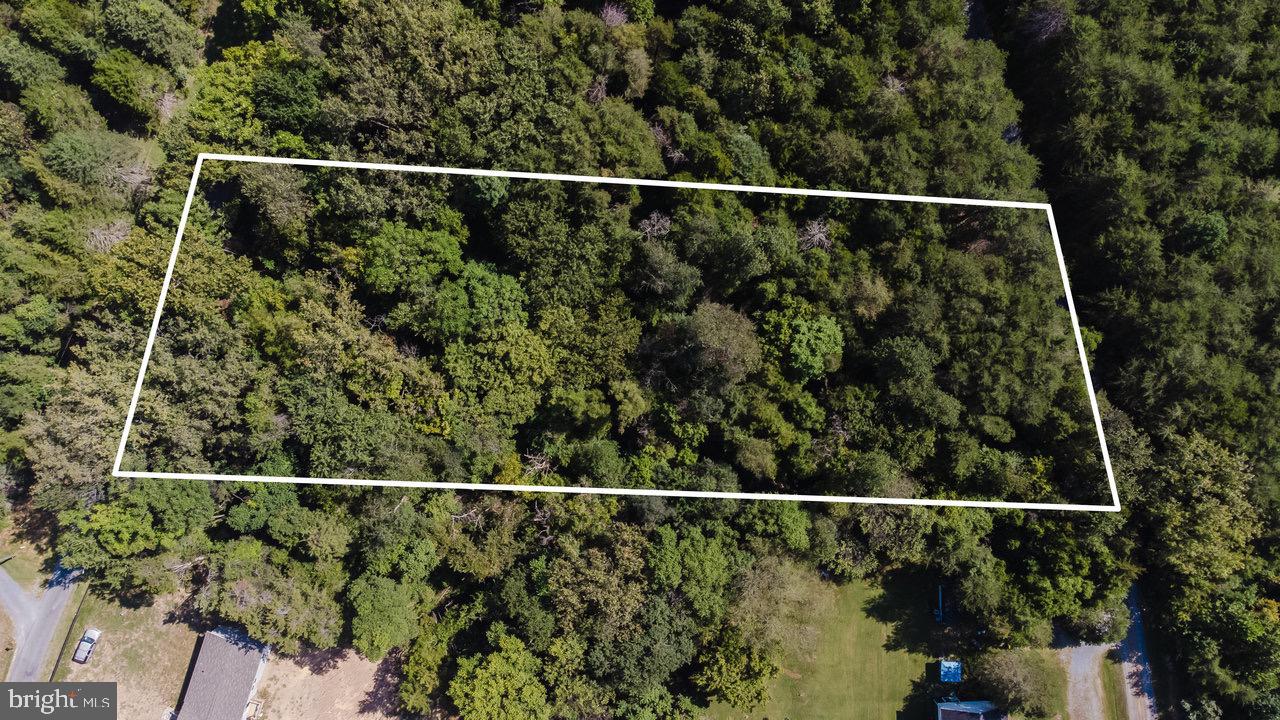TBD RIVERVIEW ROAD, LURAY, Virginia 22835, ,Land,For sale,TBD RIVERVIEW ROAD,VAPA2005344 MLS # VAPA2005344