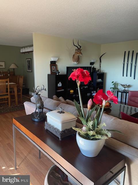 203 YOAKUM PKWY #1512, ALEXANDRIA, Virginia 22304, 3 Bedrooms Bedrooms, ,2 BathroomsBathrooms,Residential,For sale,203 YOAKUM PKWY #1512,VAAX2049464 MLS # VAAX2049464 203 YOAKUM PKWY #1512, ALEXANDRIA, Virginia 22304, 3 Bedrooms Bedrooms, ,2 BathroomsBathrooms,Residential,For sale,203 YOAKUM PKWY #1512,VAAX2049464 MLS # VAAX2049464