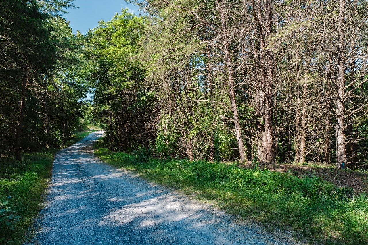 TBD RIVERVIEW DR, LURAY, Virginia 22835, ,Land,TBD RIVERVIEW DR,668785 MLS # 668785