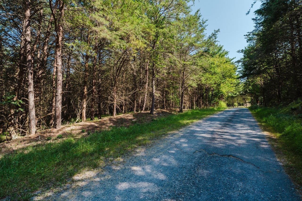 TBD RIVERVIEW DR, LURAY, Virginia 22835, ,Land,TBD RIVERVIEW DR,668785 MLS # 668785
