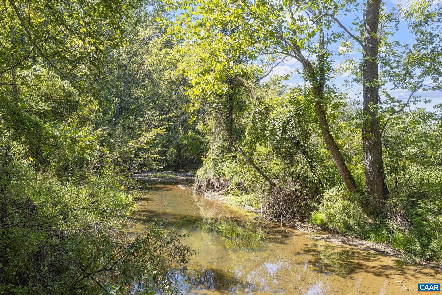 318 MILLER SCHOOL RD, CHARLOTTESVILLE, Virginia 22903, 4 Bedrooms Bedrooms, ,2 BathroomsBathrooms,Residential,For sale,318 MILLER SCHOOL RD,668774 MLS # 668774