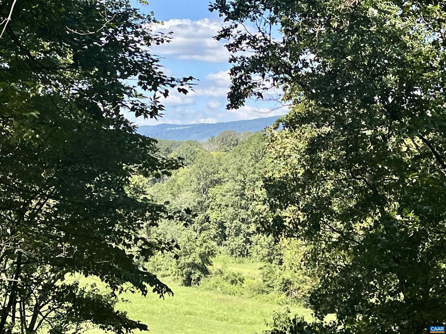 318 MILLER SCHOOL RD, CHARLOTTESVILLE, Virginia 22903, 4 Bedrooms Bedrooms, ,2 BathroomsBathrooms,Residential,For sale,318 MILLER SCHOOL RD,668774 MLS # 668774