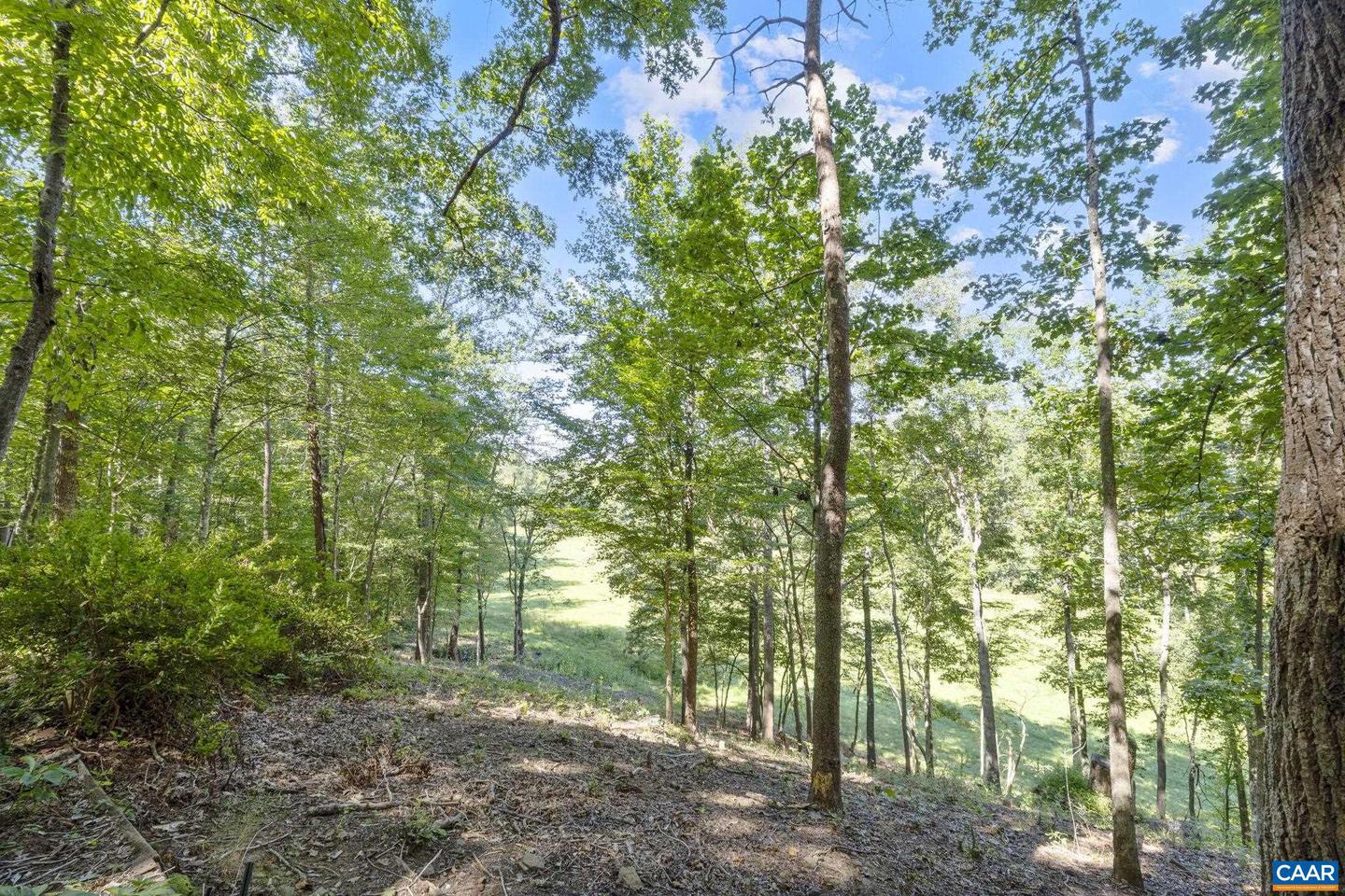318 MILLER SCHOOL RD, CHARLOTTESVILLE, Virginia 22903, 4 Bedrooms Bedrooms, ,2 BathroomsBathrooms,Residential,For sale,318 MILLER SCHOOL RD,668774 MLS # 668774