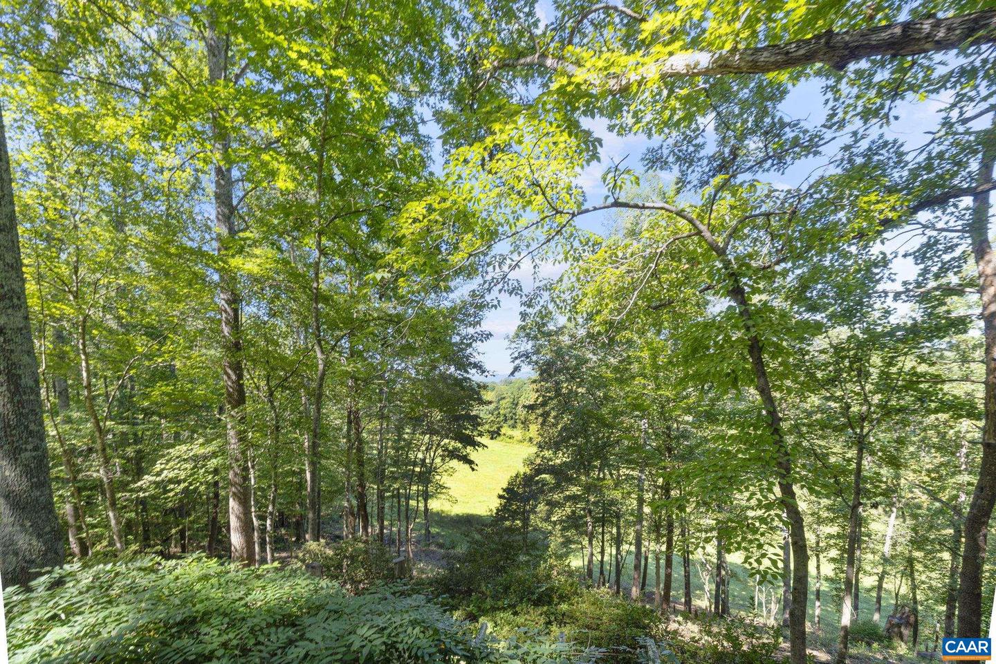 318 MILLER SCHOOL RD, CHARLOTTESVILLE, Virginia 22903, 4 Bedrooms Bedrooms, ,2 BathroomsBathrooms,Residential,For sale,318 MILLER SCHOOL RD,668774 MLS # 668774