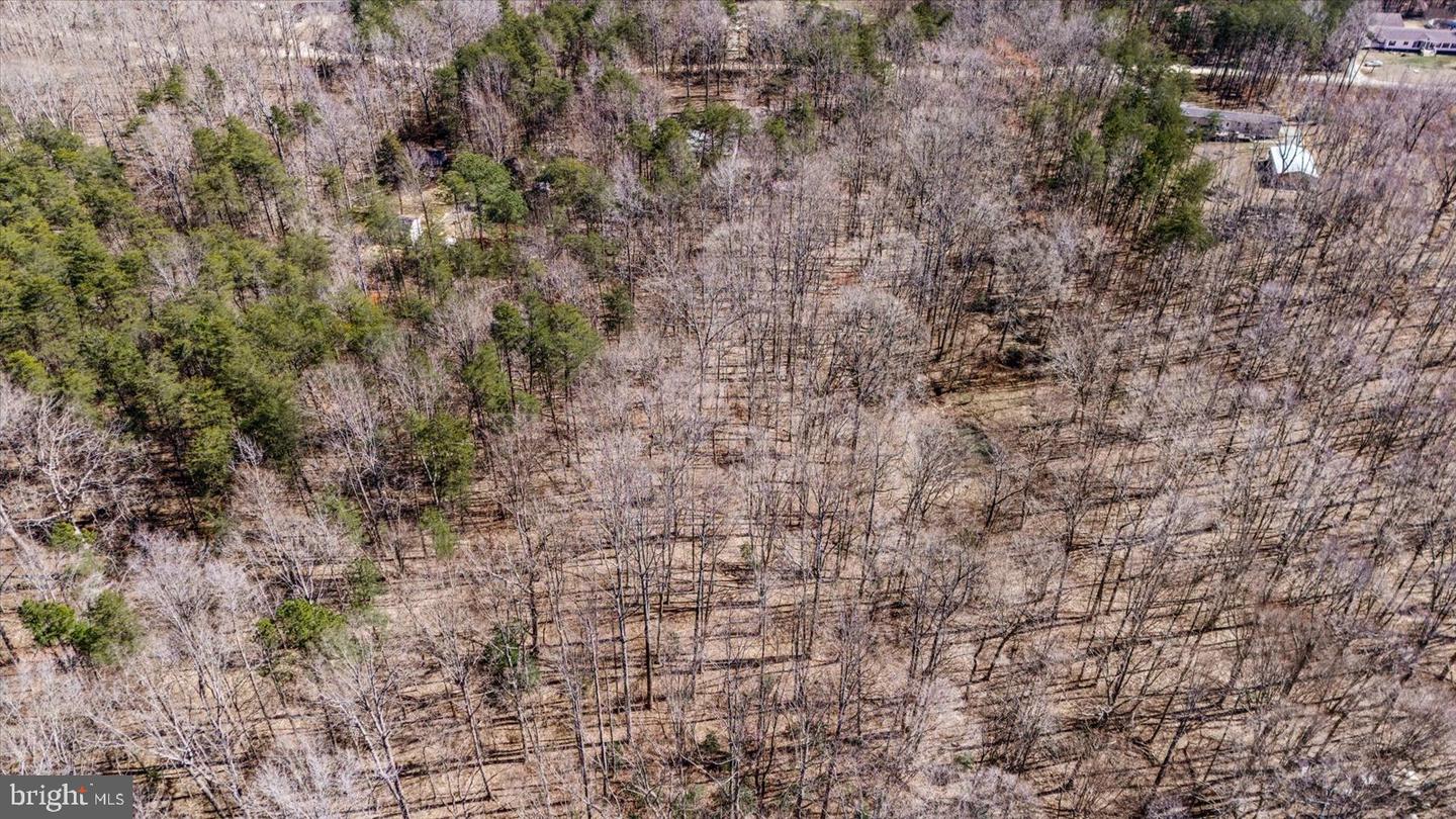 197 HOLLY GROVE CT, BUMPASS, Virginia 23024, 3 Bedrooms Bedrooms, ,2 BathroomsBathrooms,Residential,For sale,197 HOLLY GROVE CT,VALA2007312 MLS # VALA2007312 197 HOLLY GROVE CT, BUMPASS, Virginia 23024, 3 Bedrooms Bedrooms, ,2 BathroomsBathrooms,Residential,For sale,197 HOLLY GROVE CT,VALA2007312 MLS # VALA2007312