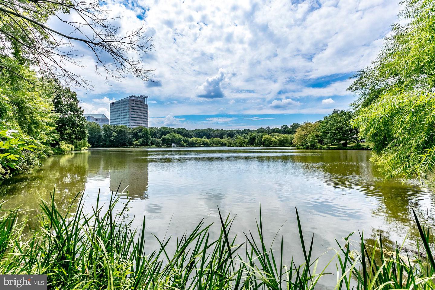 7756 NEW PROVIDENCE DR #16, FALLS CHURCH, Virginia 22042, 2 Bedrooms Bedrooms, ,1 BathroomBathrooms,Residential,For sale,7756 NEW PROVIDENCE DR #16,VAFX2255452 MLS # VAFX2255452