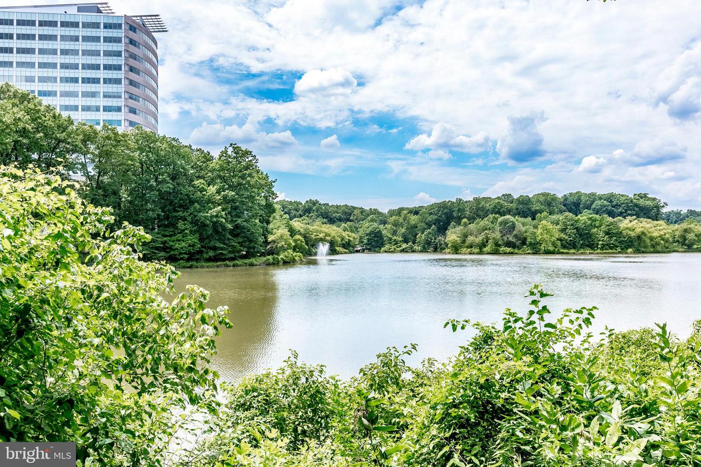 7756 NEW PROVIDENCE DR #16, FALLS CHURCH, Virginia 22042, 2 Bedrooms Bedrooms, ,1 BathroomBathrooms,Residential,For sale,7756 NEW PROVIDENCE DR #16,VAFX2255452 MLS # VAFX2255452