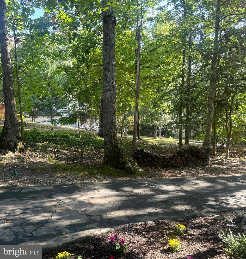 208 WILSON CV, STAFFORD, Virginia 22554, 4 Bedrooms Bedrooms, ,3 BathroomsBathrooms,Residential,For sale,208 WILSON CV,VAST2042114 MLS # VAST2042114