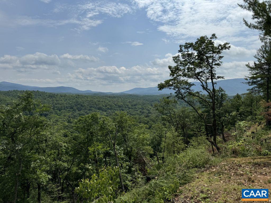 TBD STAREY DRAFT LN, WEST AUGUSTA, Virginia 24485, ,Land,For sale,TBD STAREY DRAFT LN,668791 MLS # 668791