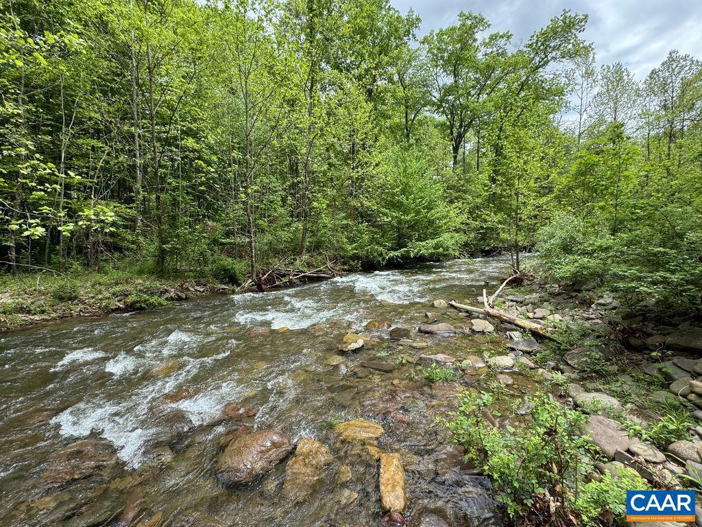 TBD STAREY DRAFT LN, WEST AUGUSTA, Virginia 24485, ,Land,For sale,TBD STAREY DRAFT LN,668791 MLS # 668791