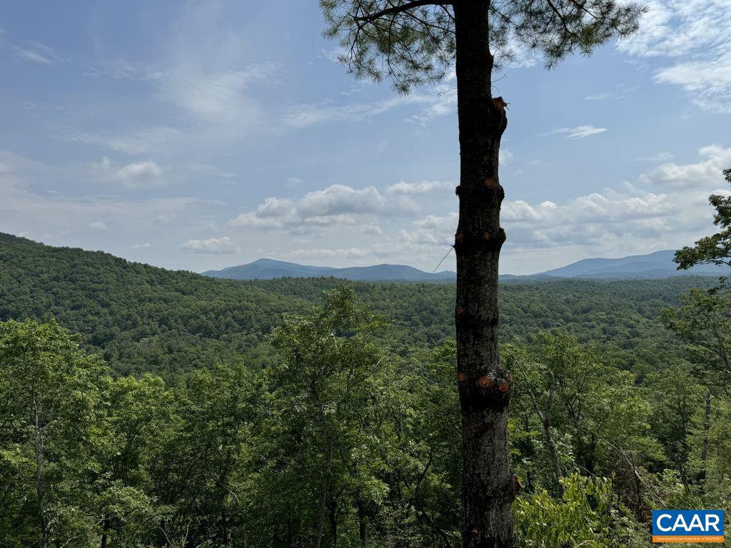 TBD STAREY DRAFT LN, WEST AUGUSTA, Virginia 24485, ,Land,For sale,TBD STAREY DRAFT LN,668791 MLS # 668791