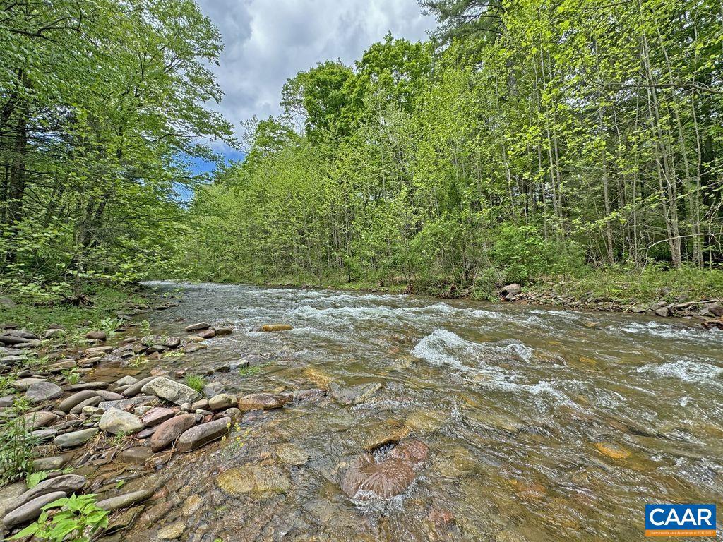 TBD STAREY DRAFT LN, WEST AUGUSTA, Virginia 24485, ,Land,For sale,TBD STAREY DRAFT LN,668791 MLS # 668791