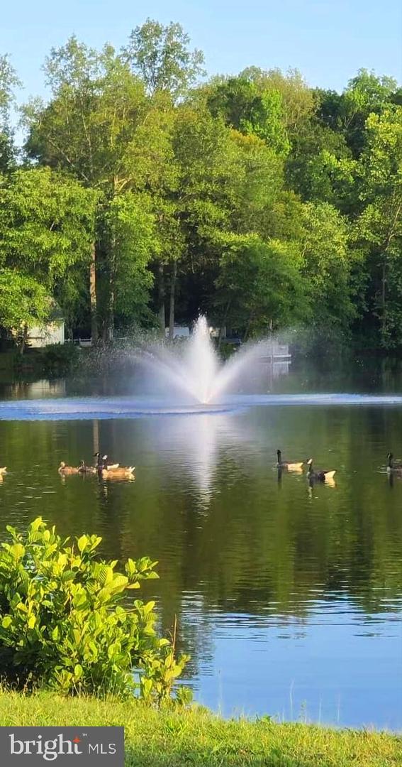 26236 SHANNON MILL DR, RUTHER GLEN, Virginia 22546, 3 Bedrooms Bedrooms, ,2 BathroomsBathrooms,Residential,For sale,26236 SHANNON MILL DR,VACV2008798 MLS # VACV2008798 26236 SHANNON MILL DR, RUTHER GLEN, Virginia 22546, 3 Bedrooms Bedrooms, ,2 BathroomsBathrooms,Residential,For sale,26236 SHANNON MILL DR,VACV2008798 MLS # VACV2008798