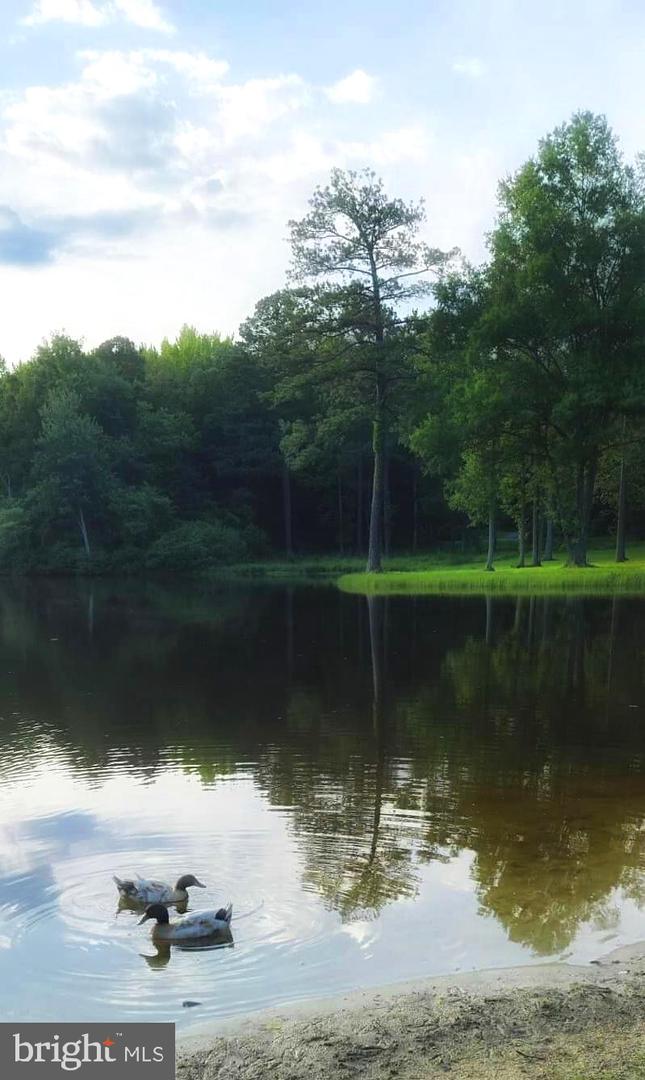 26236 SHANNON MILL DR, RUTHER GLEN, Virginia 22546, 3 Bedrooms Bedrooms, ,2 BathroomsBathrooms,Residential,For sale,26236 SHANNON MILL DR,VACV2008798 MLS # VACV2008798 26236 SHANNON MILL DR, RUTHER GLEN, Virginia 22546, 3 Bedrooms Bedrooms, ,2 BathroomsBathrooms,Residential,For sale,26236 SHANNON MILL DR,VACV2008798 MLS # VACV2008798