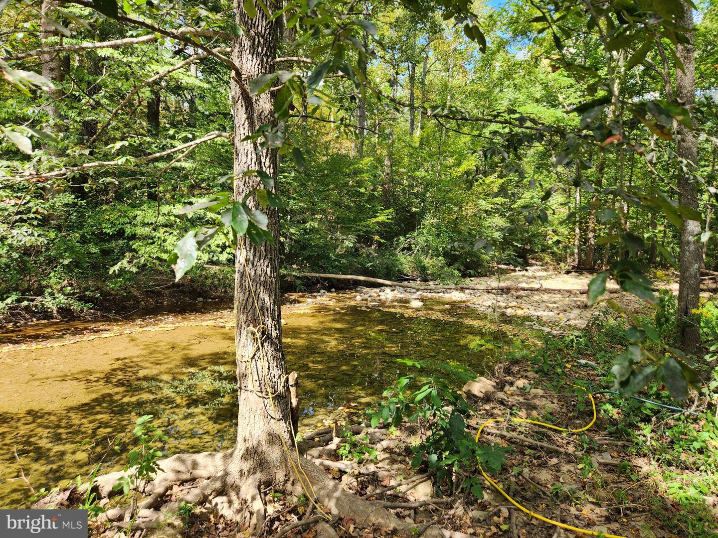 2138 BACK CREEK RD, GORE, Virginia 22637, 3 Bedrooms Bedrooms, ,1 BathroomBathrooms,Residential,For sale,2138 BACK CREEK RD,VAFV2036722 MLS # VAFV2036722