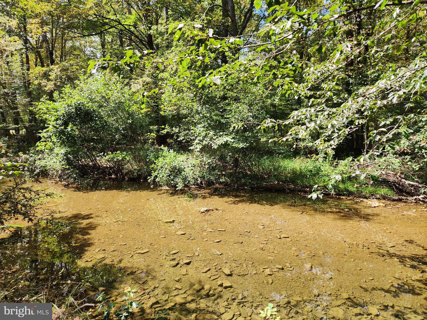 2138 BACK CREEK RD, GORE, Virginia 22637, 3 Bedrooms Bedrooms, ,1 BathroomBathrooms,Residential,For sale,2138 BACK CREEK RD,VAFV2036722 MLS # VAFV2036722