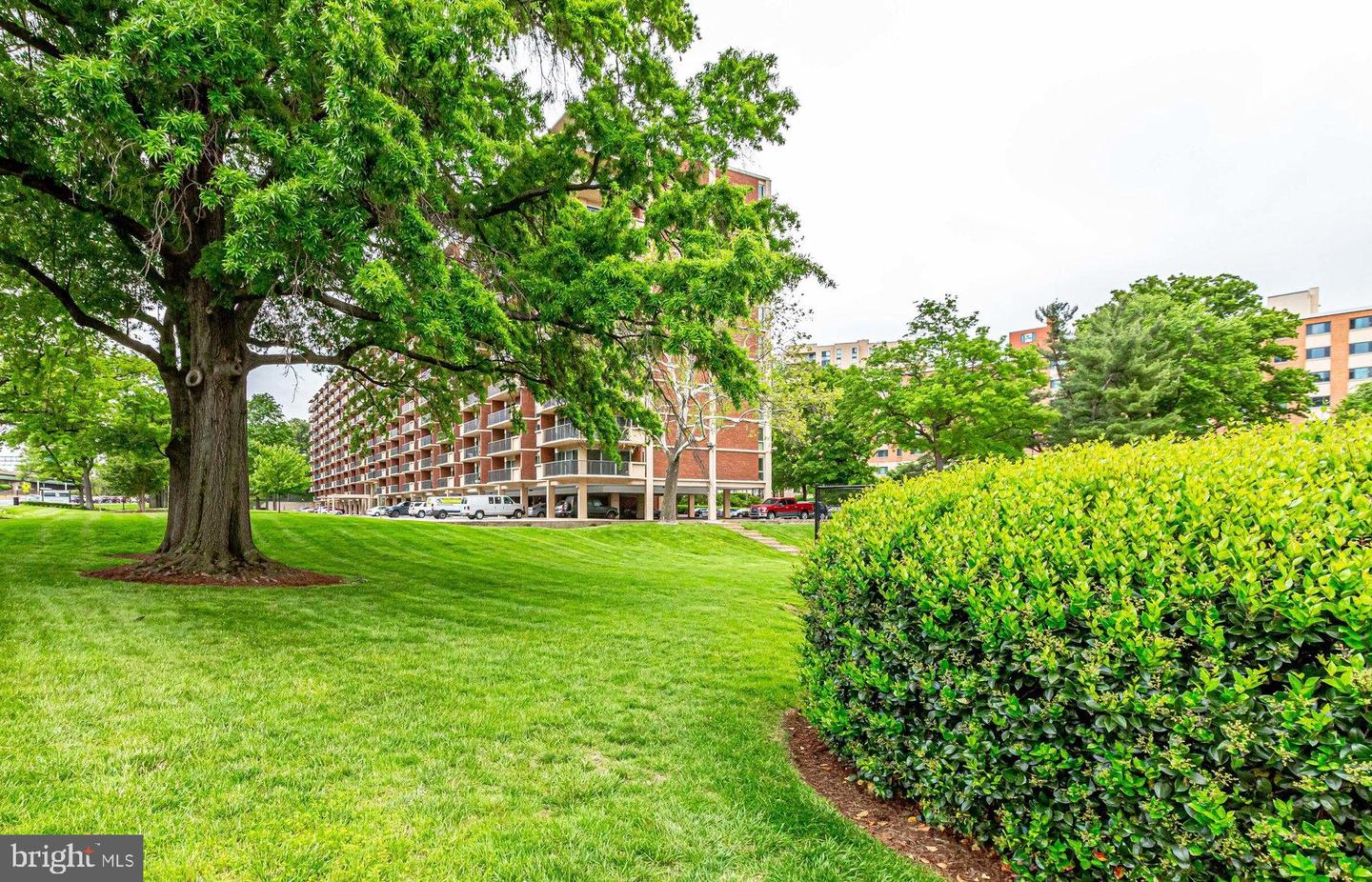 1300 ARMY NAVY DR #124, ARLINGTON, Virginia 22202, 1 Bedroom Bedrooms, ,1 BathroomBathrooms,Residential,For sale,1300 ARMY NAVY DR #124,VAAR2057368 MLS # VAAR2057368 1300 ARMY NAVY DR #124, ARLINGTON, Virginia 22202, 1 Bedroom Bedrooms, ,1 BathroomBathrooms,Residential,For sale,1300 ARMY NAVY DR #124,VAAR2057368 MLS # VAAR2057368
