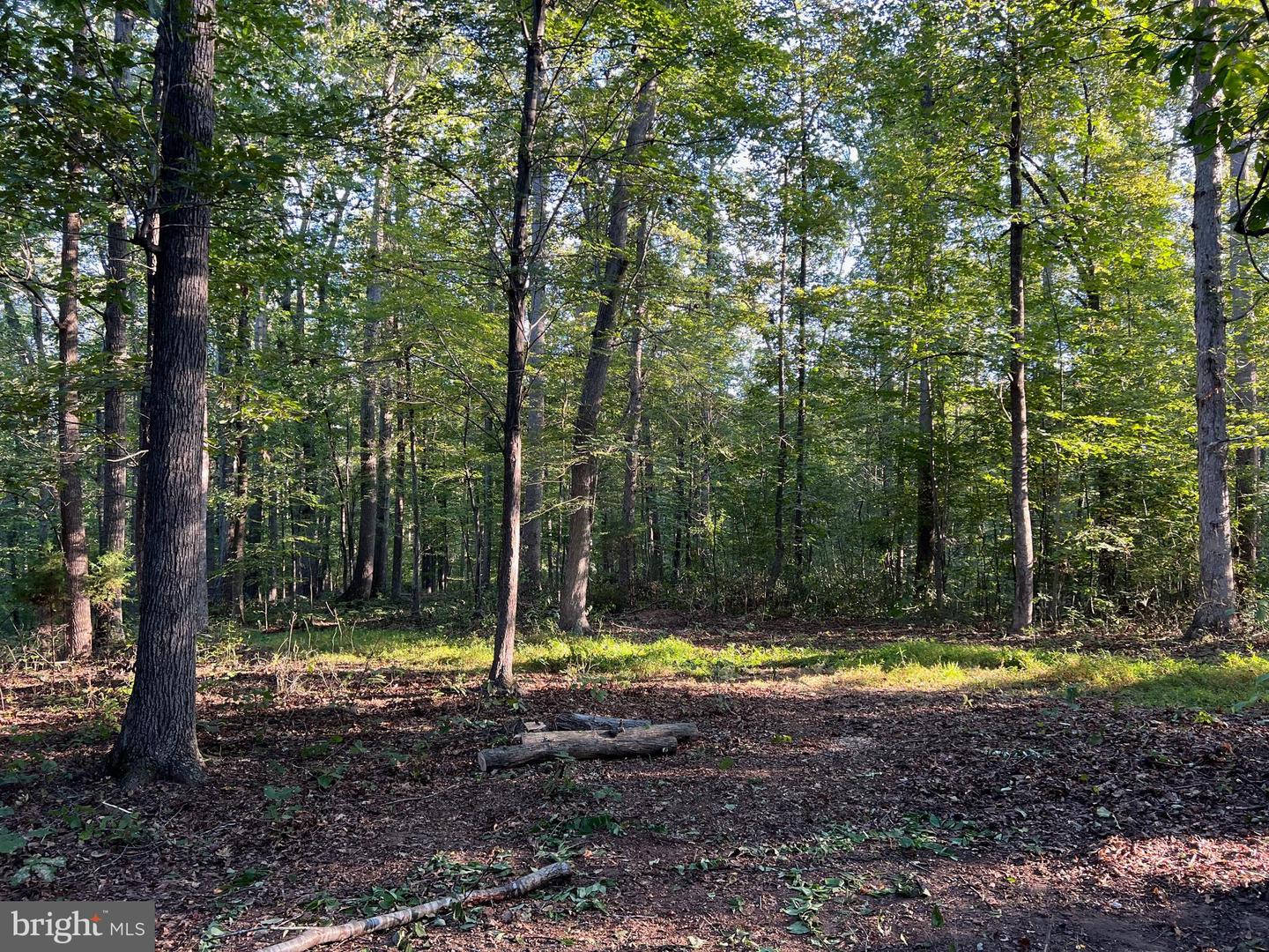 14285 WOODS VIEW LN, REVA, Virginia 22735, ,Land,For sale,14285 WOODS VIEW LN,VACU2011526 MLS # VACU2011526