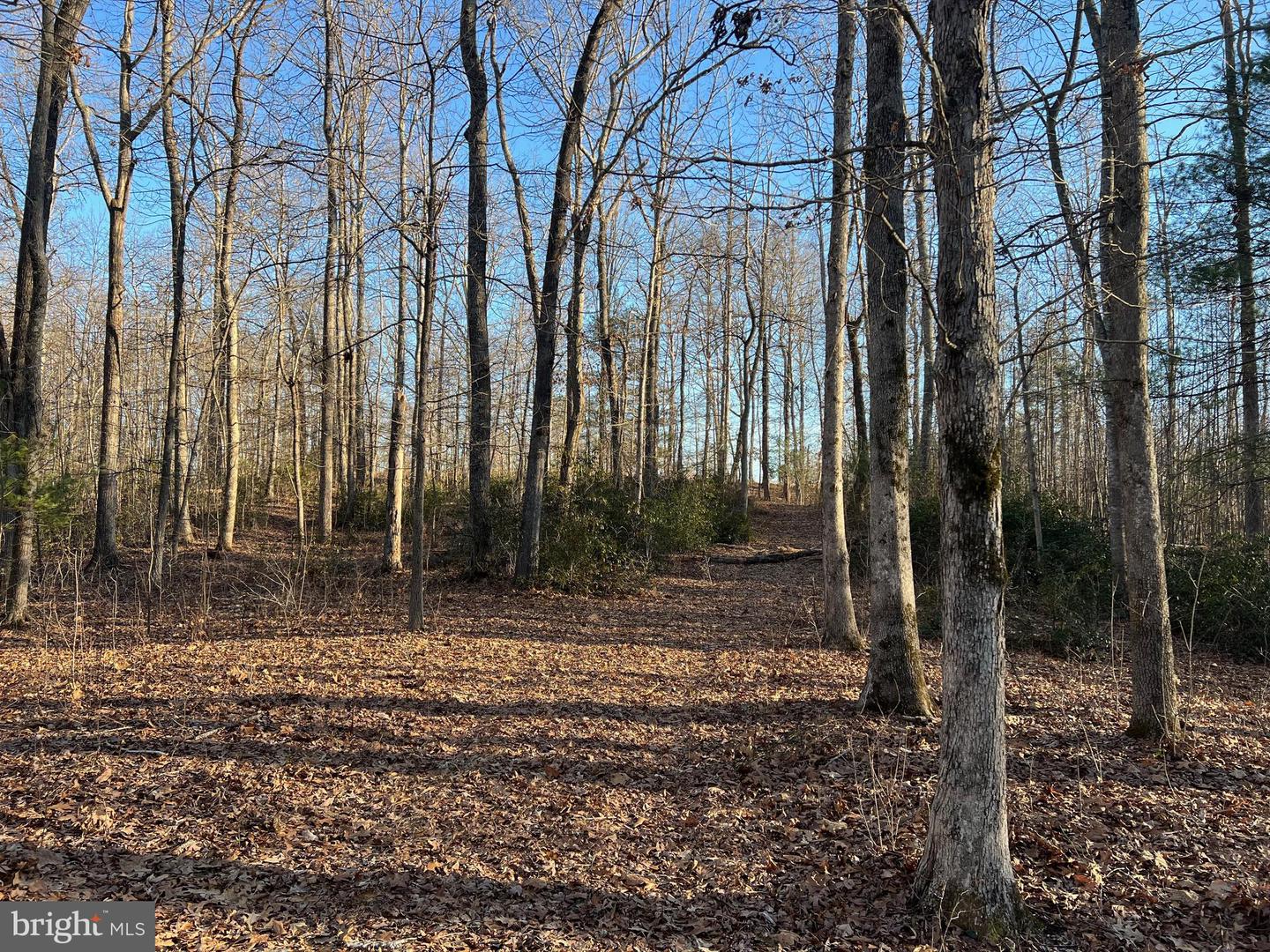 14285 WOODS VIEW LN, REVA, Virginia 22735, ,Land,For sale,14285 WOODS VIEW LN,VACU2011526 MLS # VACU2011526