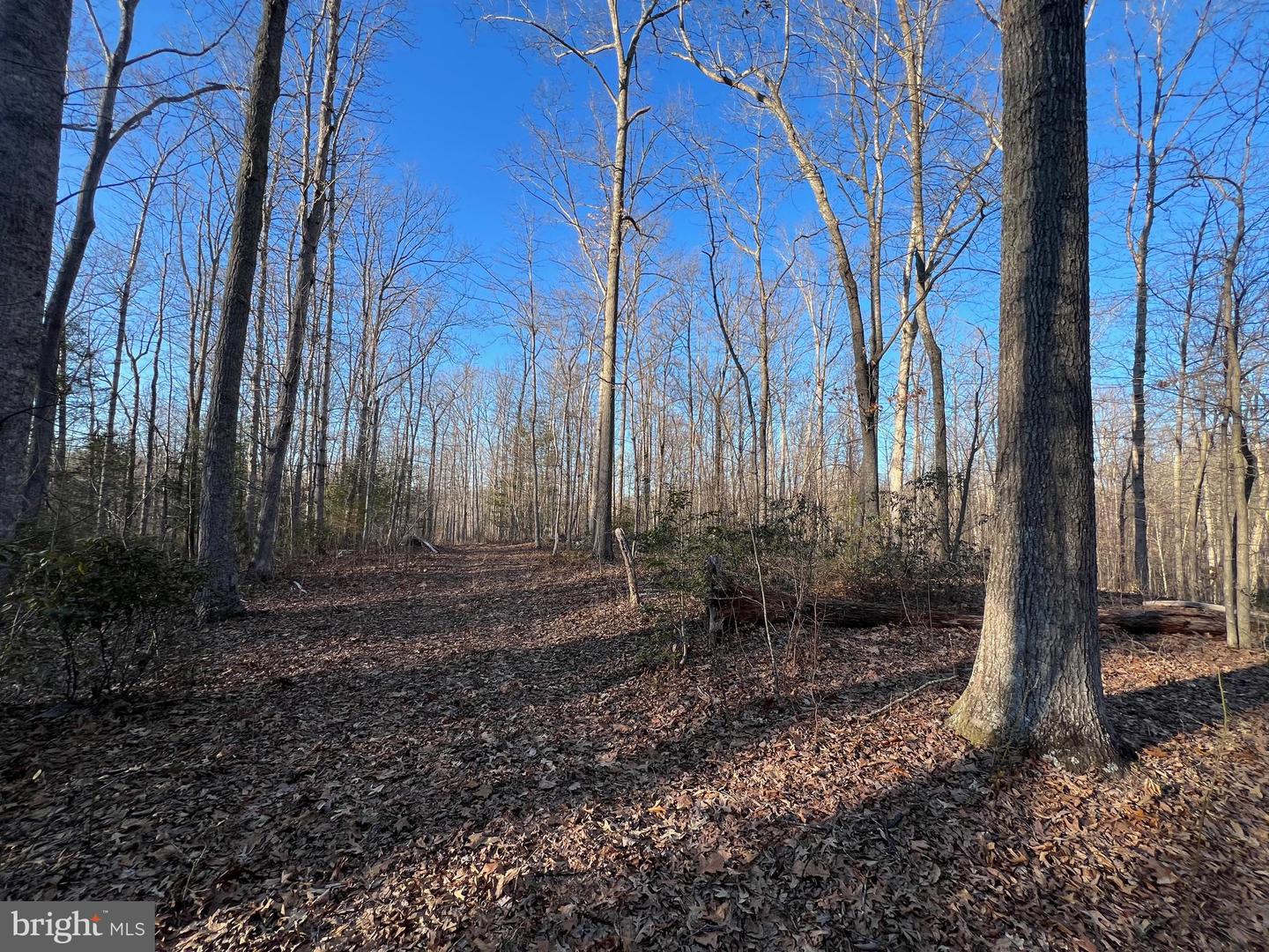 14285 WOODS VIEW LN, REVA, Virginia 22735, ,Land,For sale,14285 WOODS VIEW LN,VACU2011526 MLS # VACU2011526