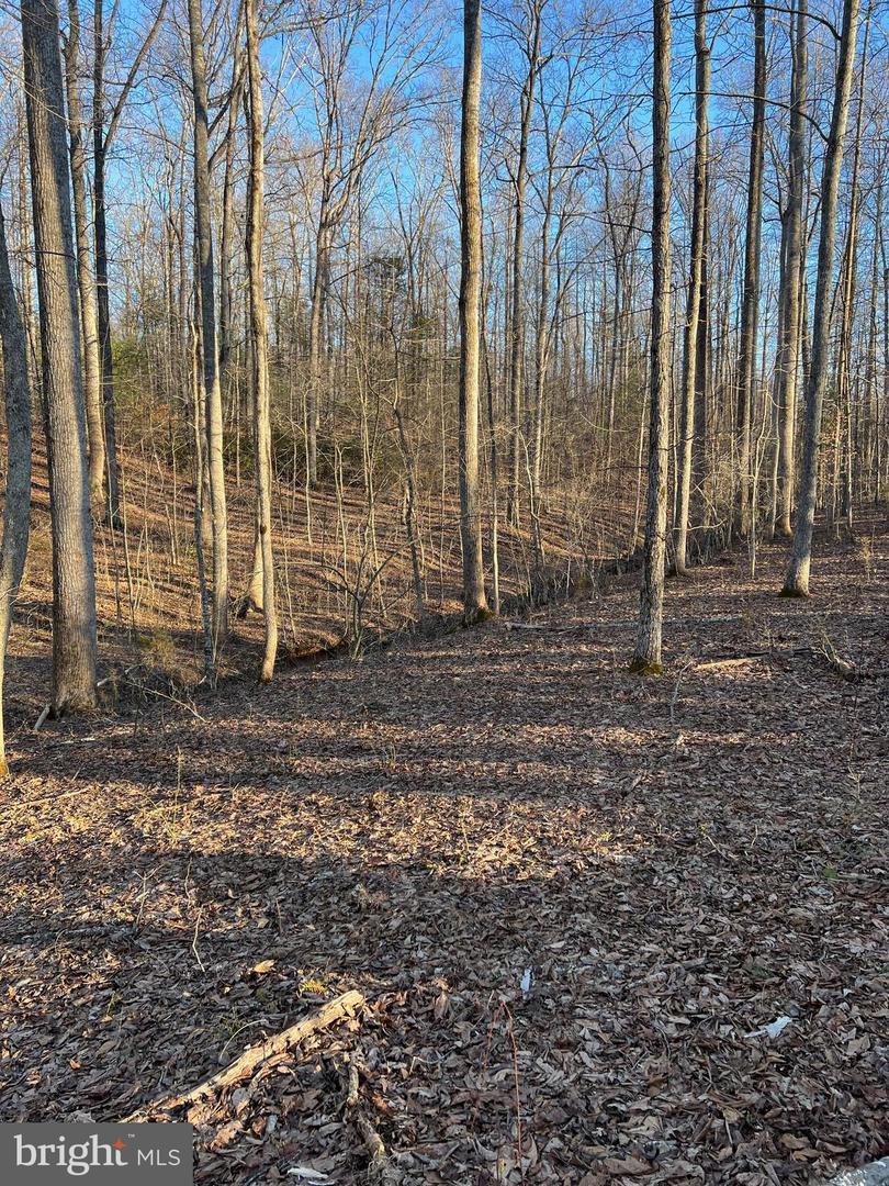 14285 WOODS VIEW LN, REVA, Virginia 22735, ,Land,For sale,14285 WOODS VIEW LN,VACU2011526 MLS # VACU2011526