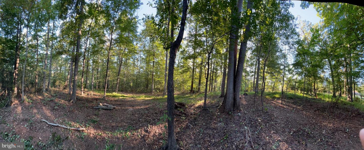 14285 WOODS VIEW LN, REVA, Virginia 22735, ,Land,For sale,14285 WOODS VIEW LN,VACU2011526 MLS # VACU2011526
