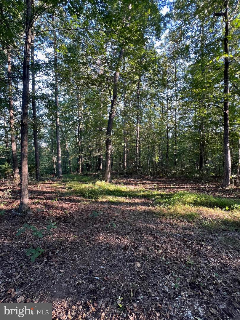 14285 WOODS VIEW LN, REVA, Virginia 22735, ,Land,For sale,14285 WOODS VIEW LN,VACU2011526 MLS # VACU2011526