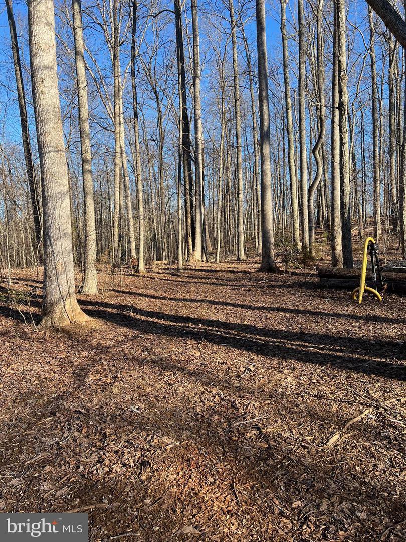 14285 WOODS VIEW LN, REVA, Virginia 22735, ,Land,For sale,14285 WOODS VIEW LN,VACU2011526 MLS # VACU2011526
