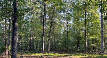 14285 WOODS VIEW LN, REVA, Virginia 22735, ,Land,For sale,14285 WOODS VIEW LN,VACU2011526 MLS # VACU2011526