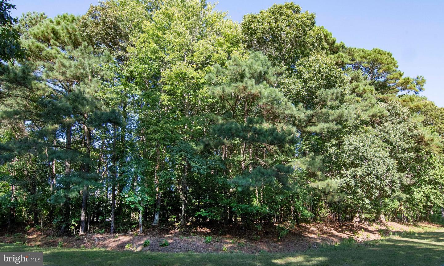 LOT 120 RAIDER CT, GREENBACKVILLE, Virginia 23356, ,Land,For sale,LOT 120 RAIDER CT,VAAC2002234 MLS # VAAC2002234