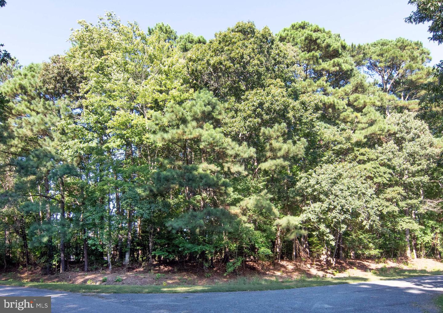 LOT 120 RAIDER CT, GREENBACKVILLE, Virginia 23356, ,Land,For sale,LOT 120 RAIDER CT,VAAC2002234 MLS # VAAC2002234