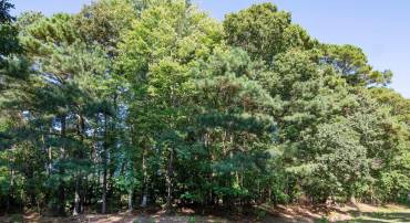LOT 120 RAIDER CT, GREENBACKVILLE, Virginia 23356, ,Land,For sale,LOT 120 RAIDER CT,VAAC2002234 MLS # VAAC2002234