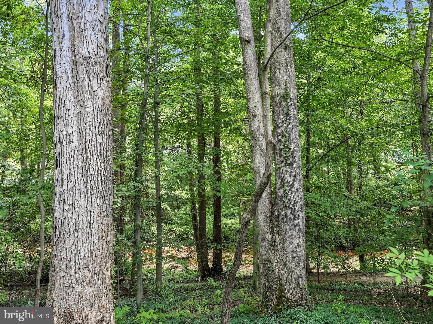 6702 OREGON AVE NW, WASHINGTON, District Of Columbia 20015, 5 Bedrooms Bedrooms, ,4 BathroomsBathrooms,Residential,For sale,6702 OREGON AVE NW,DCDC2221406 MLS # DCDC2221406 6702 OREGON AVE NW, WASHINGTON, District Of Columbia 20015, 5 Bedrooms Bedrooms, ,4 BathroomsBathrooms,Residential,For sale,6702 OREGON AVE NW,DCDC2221406 MLS # DCDC2221406